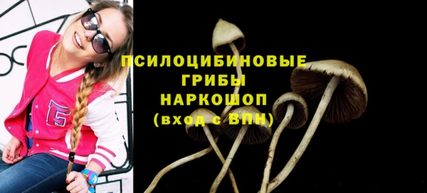 синтетический гашиш Алексеевка