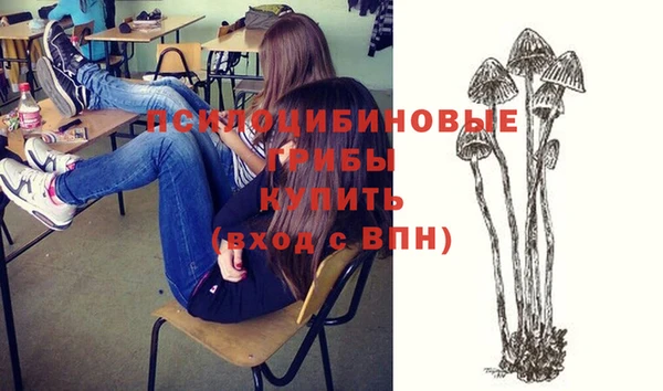 синтетический гашиш Алексеевка