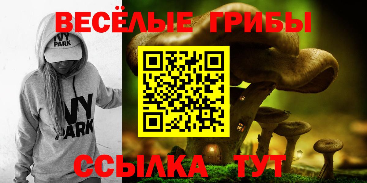 Кемерово  Галлюциногенные грибы GOLDEN TEACHER  Вход с VPN 
