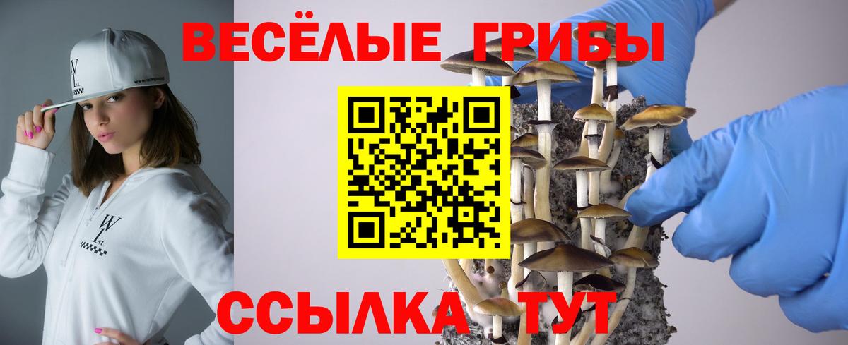 Псилоцибиновые грибы ЛСД Кемерово